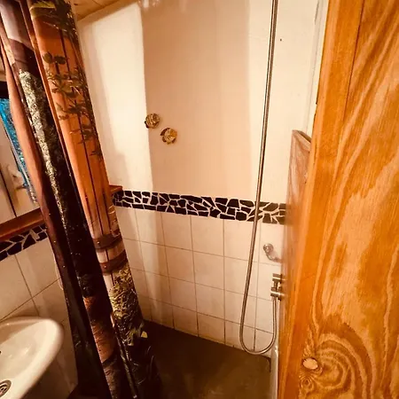 Hood In Wood Apartment