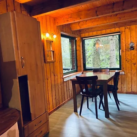 Hood In Wood Apartment
