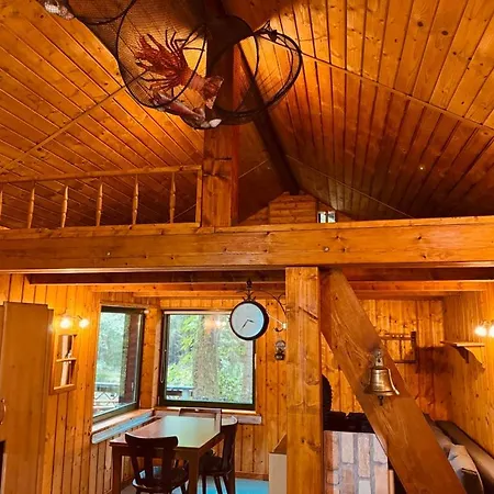 Hood In Wood Apartment