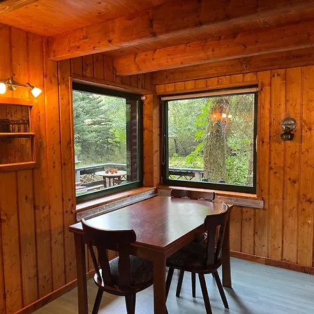 Hood In Wood